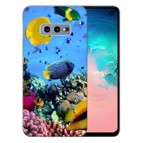 Samsung Galaxy S10e Silikon TPU mit Fotodruck Korallenfische