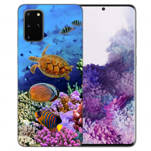 Samsung Galaxy S20 Silikon Hülle mit Bilddruck Aquarium Schildkröten 
