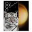Schutzhülle Silikon TPU Cover Case Foto Hülle Tiger für Samsung Galaxy S24 Ultra Schutzhülle 